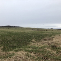 180 acres Tillable Farmland and Woodland in Amity NY Corbin Hill Road images 2