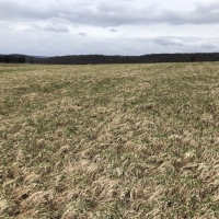 180 acres Tillable Farmland and Woodland in Amity NY Corbin Hill Road images 4