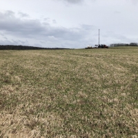 180 acres Tillable Farmland and Woodland in Amity NY Corbin Hill Road images 3