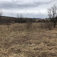 180 acres Tillable Farmland and Woodland in Amity NY Corbin Hill Road images 5
