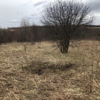 180 acres Tillable Farmland and Woodland in Amity NY Corbin Hill Road images 6