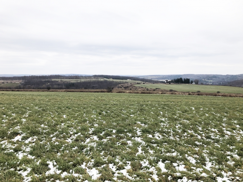 180 acres Tillable Farmland and Woodland in Amity NY Corbin Hill Road featured image