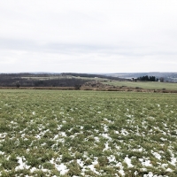 180 acres Tillable Farmland and Woodland in Amity NY Corbin Hill Road