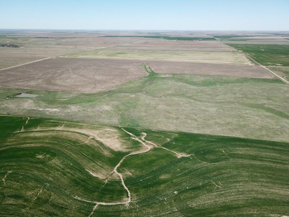 Pawnee County Ag  amp  Rec Combo Quarter featured image