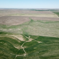 Pawnee County Ag  amp  Rec Combo Quarter