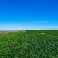 Pawnee County Ag  amp  Rec Combo Quarter images 3