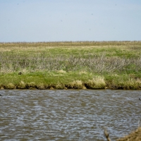 Pawnee County Ag  amp  Rec Combo Quarter images 4