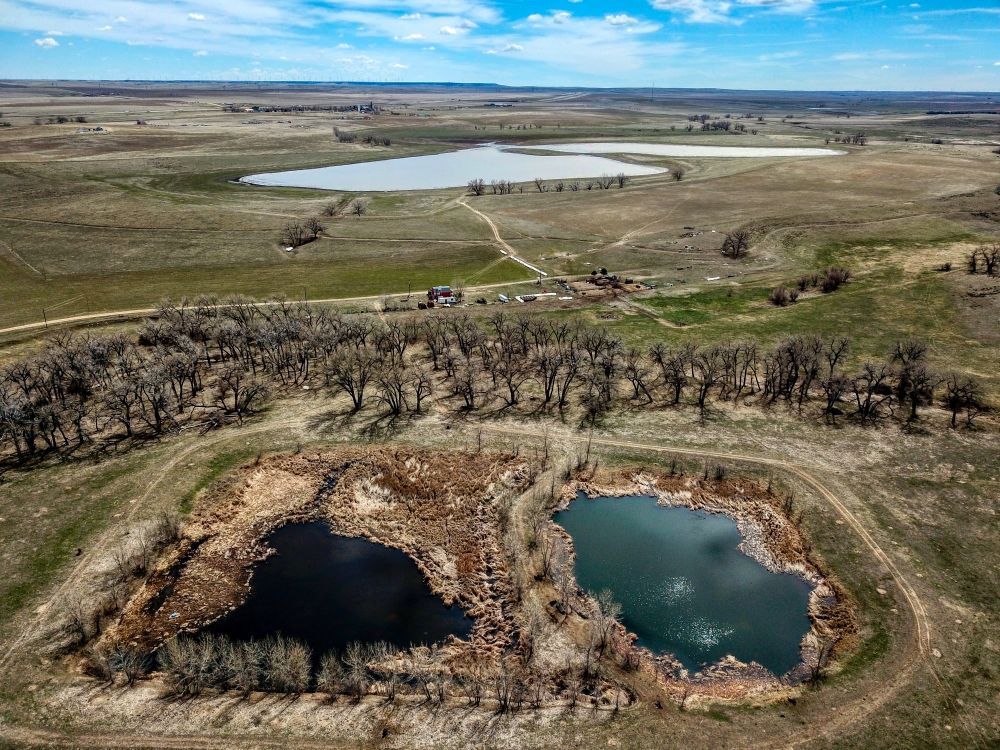Blue Agate Ranch featured image