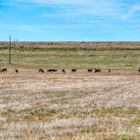 Blue Agate Ranch images 4