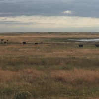 Blue Agate Ranch images 6