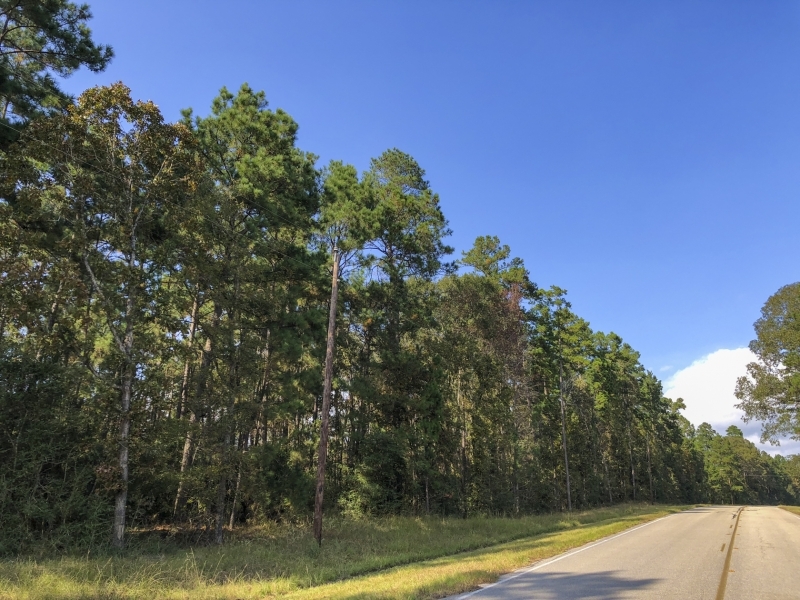 23 Acres &nbsp; Waterwood Estates &nbsp; Tract 13C featured image