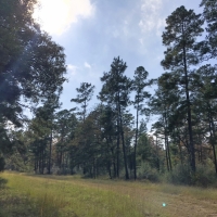 23 Acres &nbsp; Waterwood Estates &nbsp; Tract 13C images 4