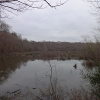 -66.57-Acres-Duck Hunting Opportunity on 8.5 Acre Beaver Swamp