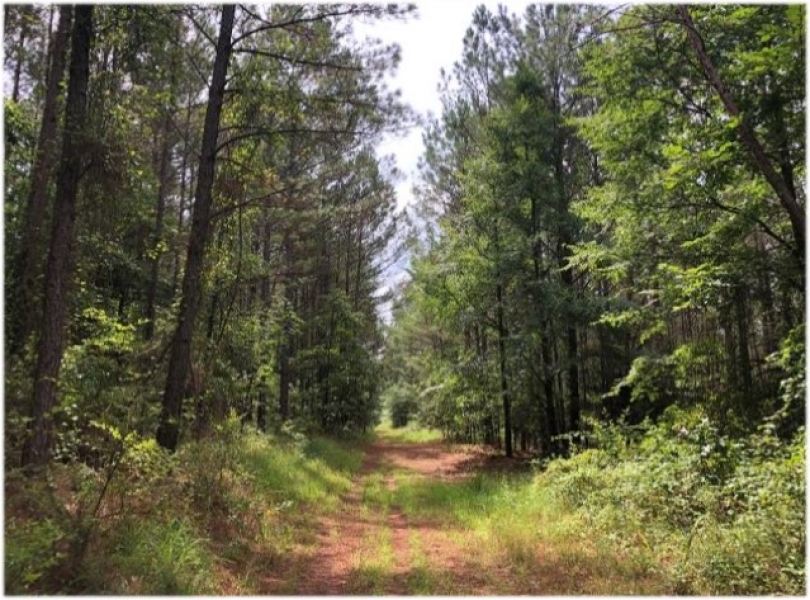 159.9 Acres in Grenada County in Grenada  MS featured image