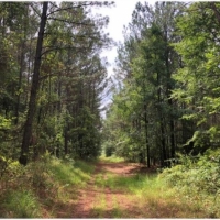 159.9 Acres in Grenada County in Grenada  MS