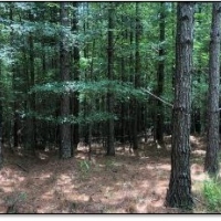 159.9 Acres in Grenada County in Grenada  MS images 2