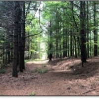 159.9 Acres in Grenada County in Grenada  MS images 4