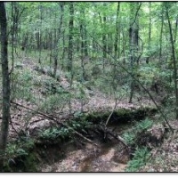 159.9 Acres in Grenada County in Grenada  MS images 6
