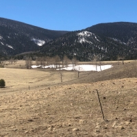 Tallahass Ranch images 2