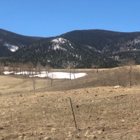 Tallahass Ranch images 3