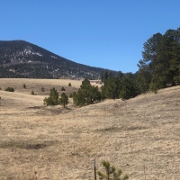 Tallahass Ranch images 5