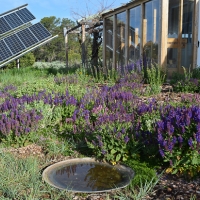 Big Sage 200 Acres &nbsp; Home  New Mexico images 6