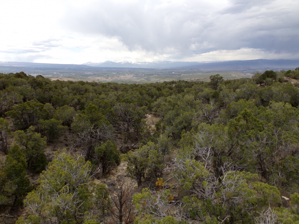 Tongue Creek Ranch Lot 2 featured image