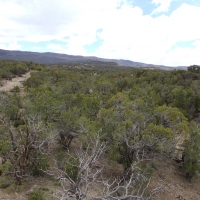 Tongue Creek Ranch Lot 2 images 2