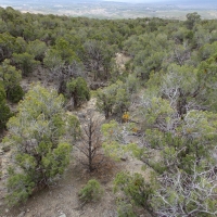 Tongue Creek Ranch Lot 2 images 3