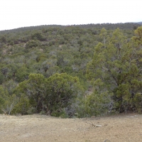 Tongue Creek Ranch Lot 2 images 4