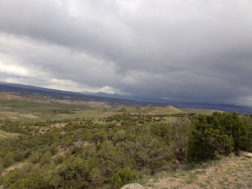 Tongue Creek Ranch Lot 1 featured image