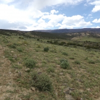 Tongue Creek Ranch Lot 1 images 2