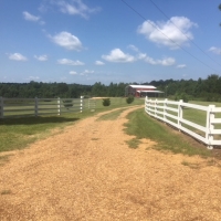 80 acres and Lodge Copiah Co. images 3