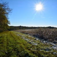 Fabulous Perry Hunt Tract images 2