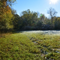 Fabulous Perry Hunt Tract images 4