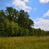 G-F Hunt Ranch images 2