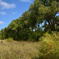 G-F Hunt Ranch images 3