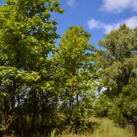 G-F Hunt Ranch images 4
