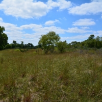 G-F Hunt Ranch images 5