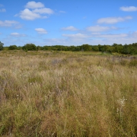 G-F Hunt Ranch images 6