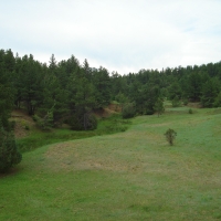 Perfect Pasture images 2
