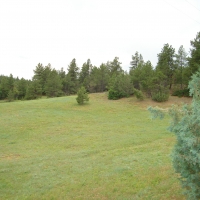Perfect Pasture images 4