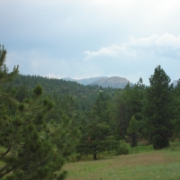 Perfect Pasture images 6