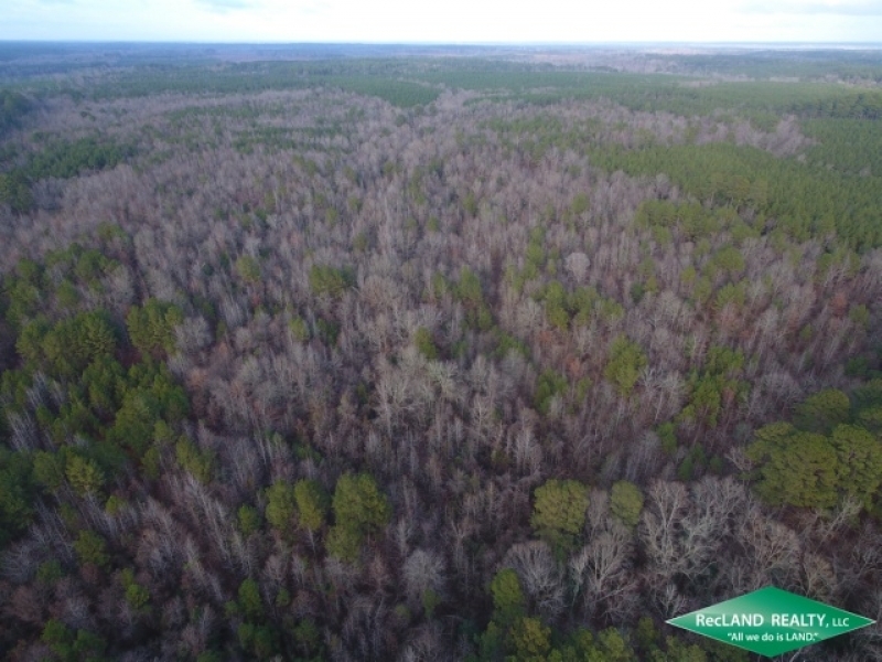 35 ac - Timberland Adjoining Nat l Forest - PRICE REDUCED featured image