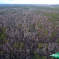 35 ac - Timberland Adjoining Nat l Forest - PRICE REDUCED