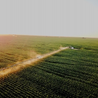 Eastern Colorado Irrigated Farm