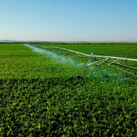 Eastern Colorado Irrigated Farm images 2