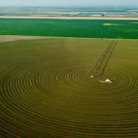 Eastern Colorado Irrigated Farm images 3