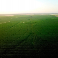 Eastern Colorado Irrigated Farm images 4