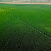 Eastern Colorado Irrigated Farm images 5